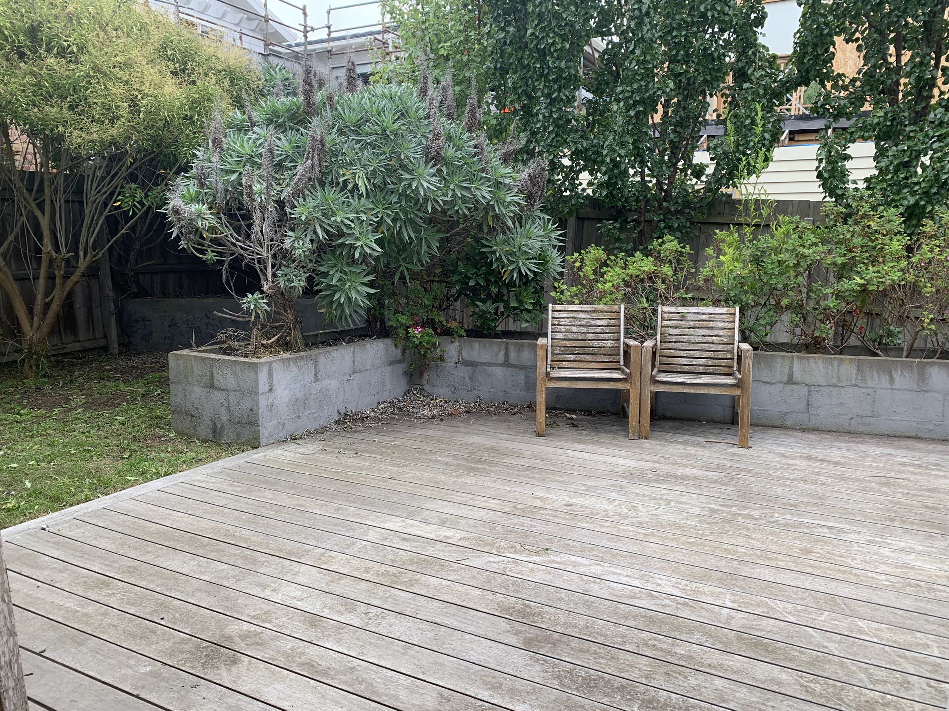 1 / 165 Minerva Road, Newtown