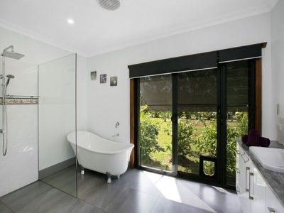 462 Calanthe Avenue, Doonan