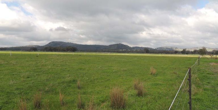 100 Repeater Road Locksley, Avenel