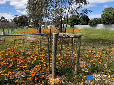 34 Market Street, Newbridge
