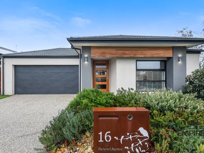 16 Pickerel Avenue, Clyde North