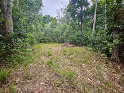 2401 Rossville Bloomfield Road, Bloomfield