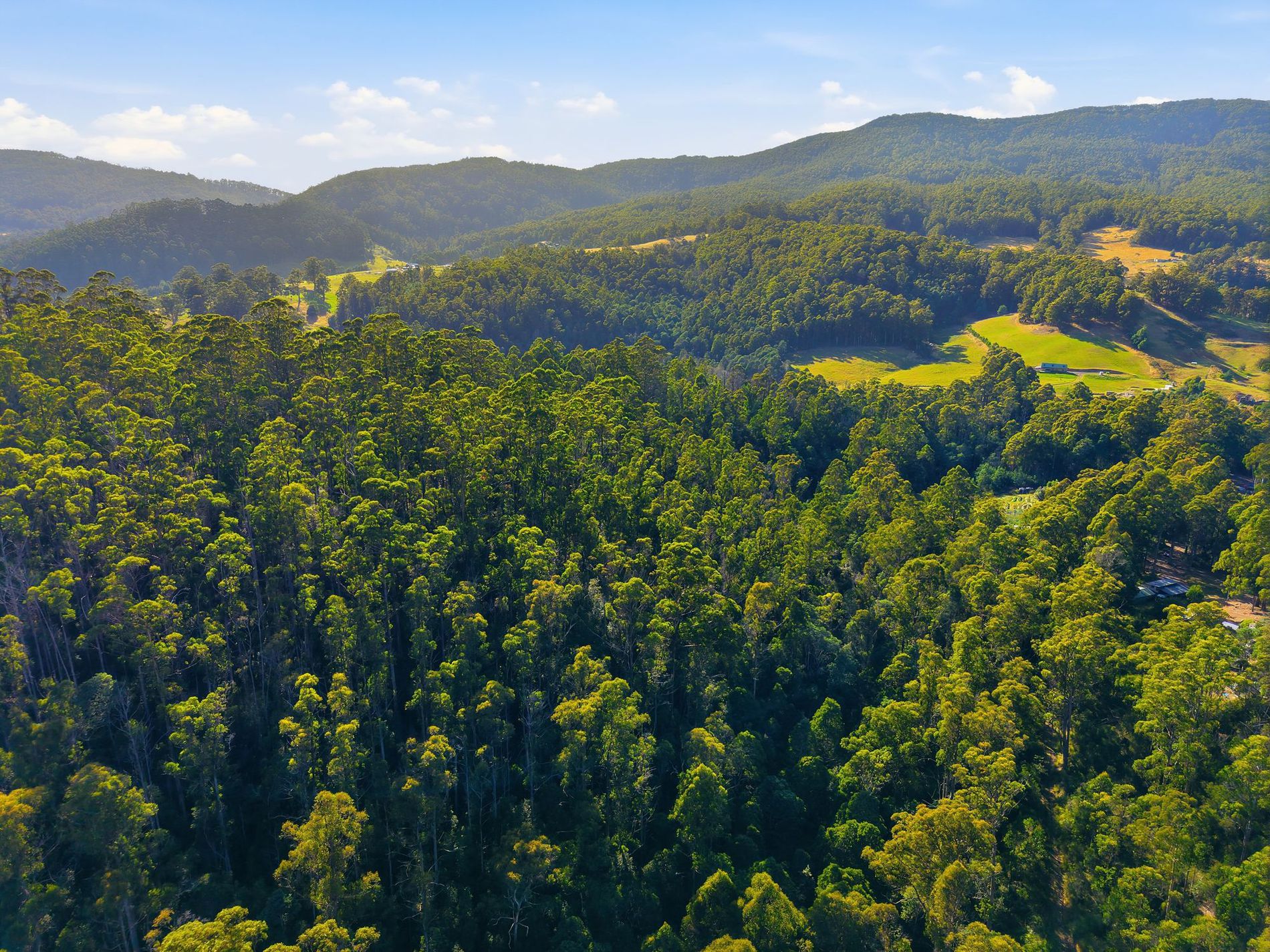 111 Underwoods Road, Nicholls Rivulet