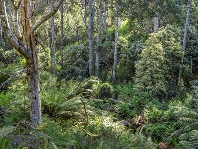 Lot 1, 519 Nicholls Rivulet Road, Oyster Cove