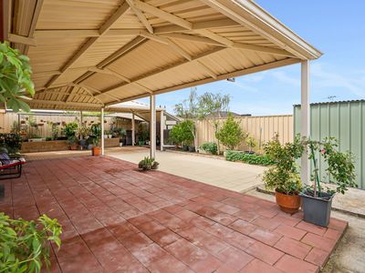 56 Cheltenham Loop, Bertram