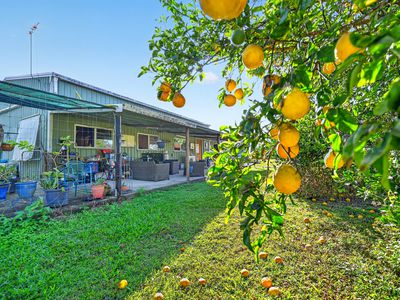 1446 Midge Point Road, Midge Point