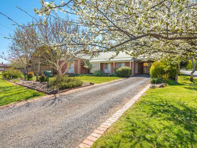 12 Mountain View Way, Gisborne