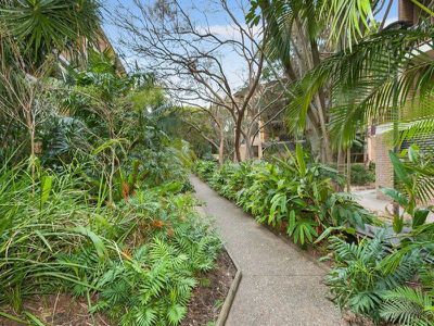 54 / 313 Harris Street, Pyrmont