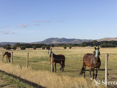 240 Racecourse Road, Lancefield
