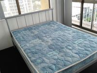 10 / 18 Orchid Avenue, Surfers Paradise