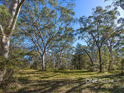38 Hill Street, Tomerong