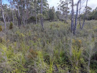 152 Esperance Coast Road, Surges Bay