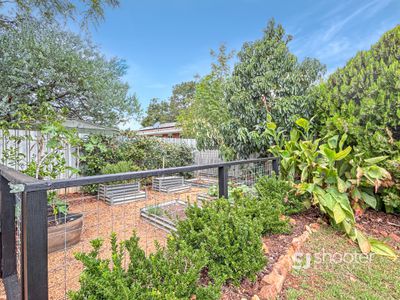 11 Bonner Crescent, Dubbo