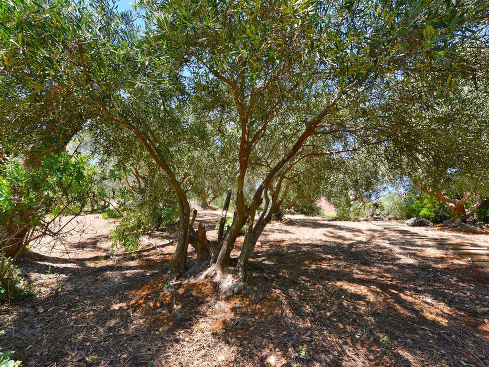 22 Wyfield Street, Wattle Park