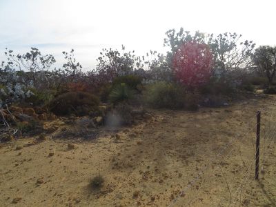 18717 / Mawson Doodenanning Balkuling, Quairading