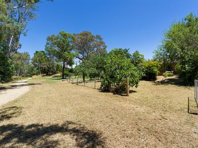 20 Gaulton Street, Castlemaine