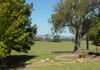 89 Falvey Road, Orange