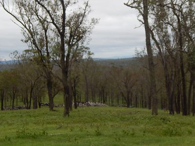 1466 Manumbar Road, Nanango