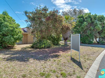 7 Hornpipe Court, Yanchep