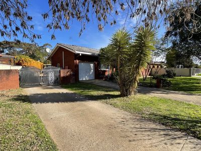 95 Petra Avenue, Tamworth