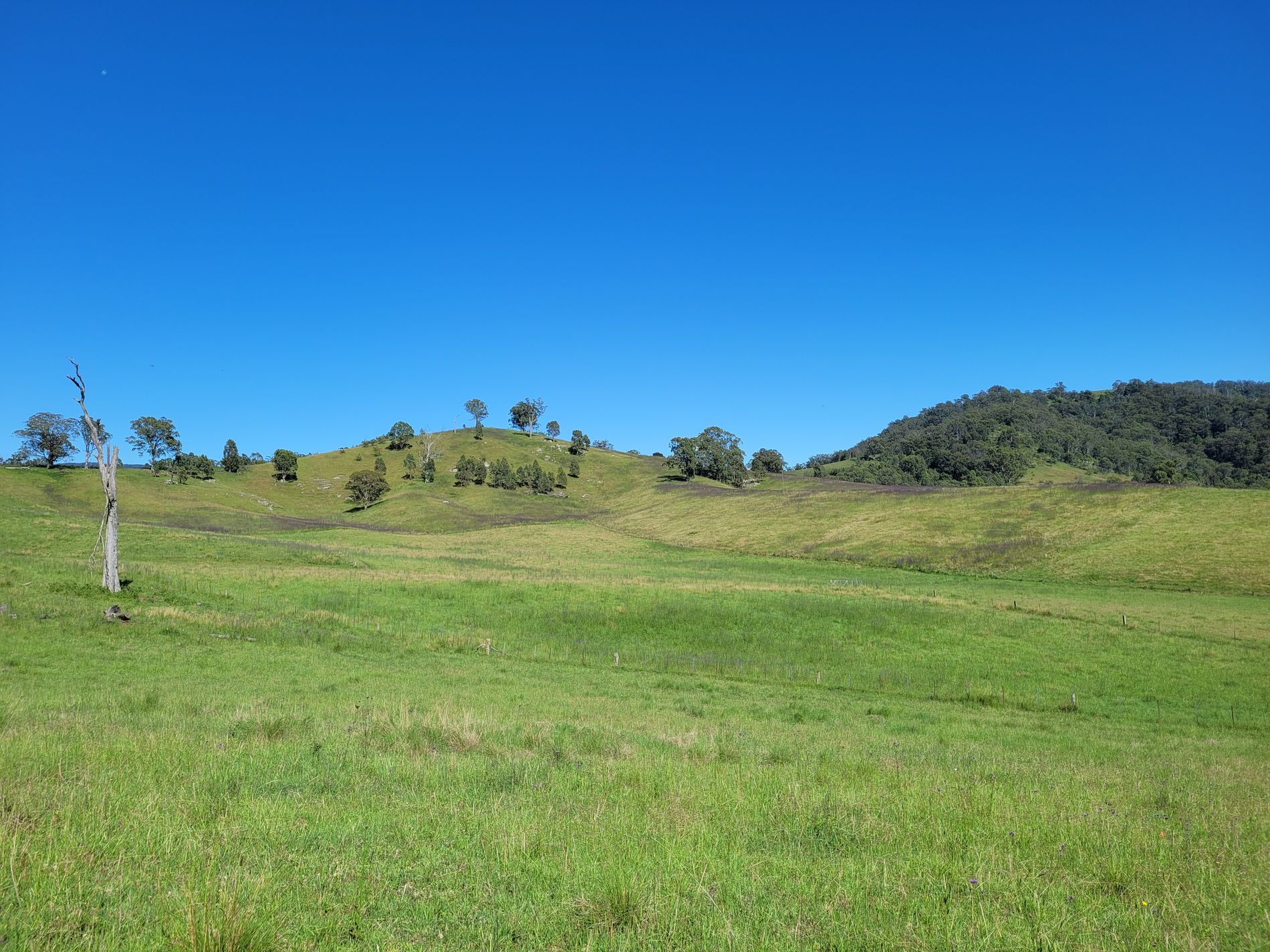 552 Neringla Road, Neringla