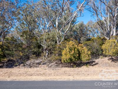 222 Strathbogie Road, Emmaville