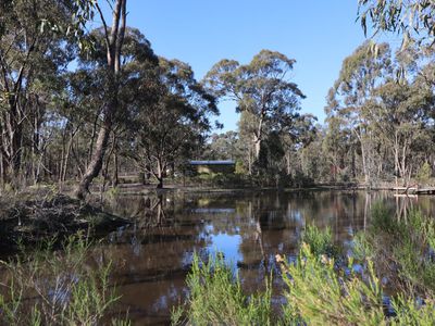 Lot 3  Lot 3  Bungoona Court, Cornella