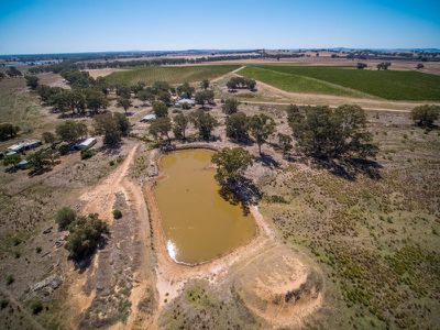 Lot 1, 115 Shelleys Road, Cornishtown