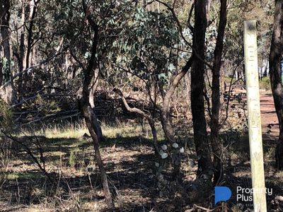 Lot 18 & 19, Derby Road, Campbells Forest