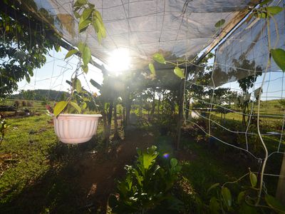 1212 Innisfail Japoon Road, Camp Creek