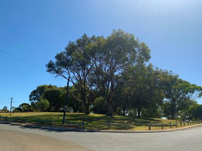29 Trusley Way, Karrinyup
