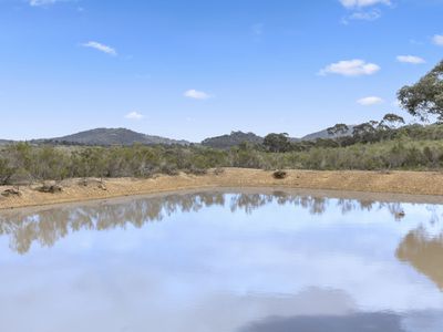 110 Bassett Lane, Hilldene