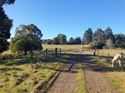 Lot 1 Pelverata Road, Pelverata