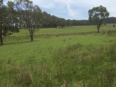 Lot 6 Ballan Daylesford Road, Korweinguboora