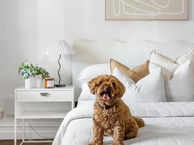 27 Pilgrim Street, Seddon