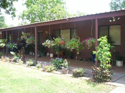 8 Eucalyptus, Kununurra