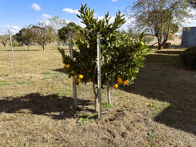5973 Boorowa Road, Narrawa Via, Crookwell