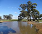 351 Tattersalls Lane, Moormbool West