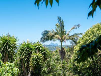 37 Lakeview Terrace, Bilambil Heights