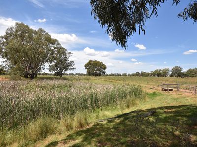4L Cumboogle Road, Dubbo