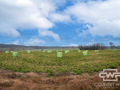 Lot Plain View South, 916 Emmaville Road, Glen Innes