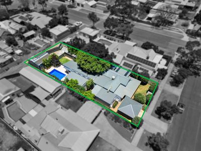 51 Addis Street, Lamington