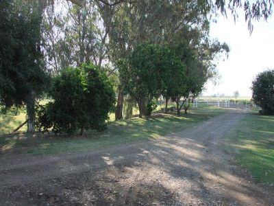 306 Orange Grove Road, Gunnedah