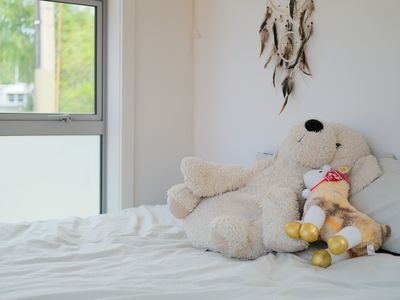 79 North Road, North East Valley