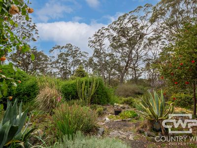 7 Ward Crescent, Glen Innes