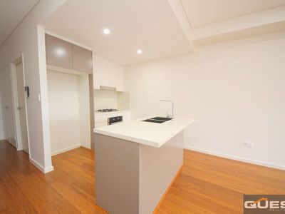 114 / 203 Birdwood Road, Georges Hall
