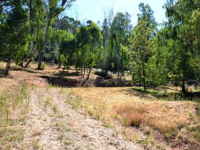 Lot 9, Diggings Road, Tawonga