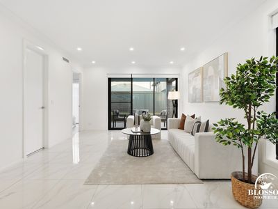 46 Conkerberry Street, Marsden Park