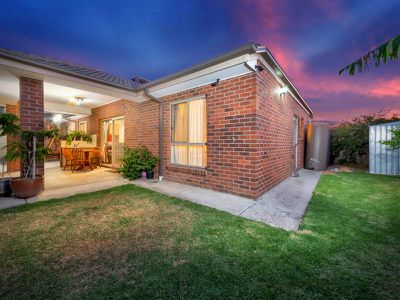 50 Hal Porter Terrace, Lynbrook