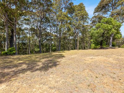 Lot 50, Woodlands drive, Narooma